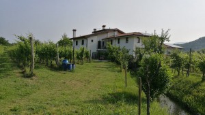 Agriturismo - Azienda Agricola - Scribano