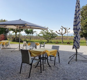 Agriturismo Zorat Adriano