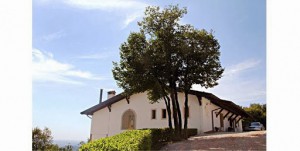 AGRITURISMO VERDE FRIULI