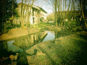 La Regina del Bosco