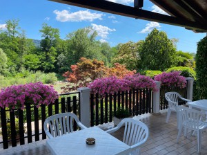 Bar alla Terrazza