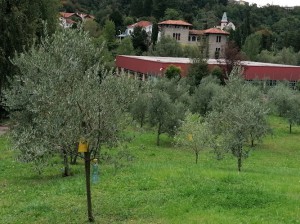 Albergo Centrale