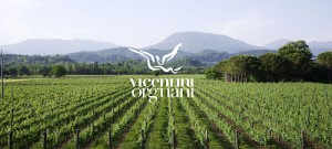 Azienda Agricola VICENTINI ORGNANI