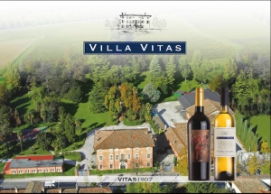 VILLA VITAS