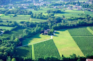 Azienda del Poggio s.s.