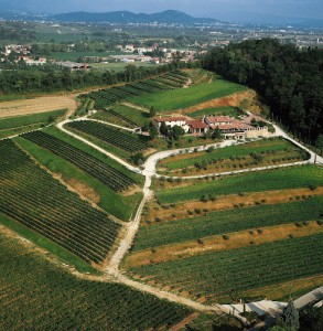 Azienda Agricola Ronchi Di Manzano