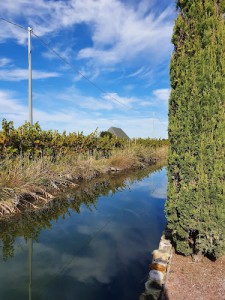 Azienda Vitivinicola Bortolusso Cav. Emiro