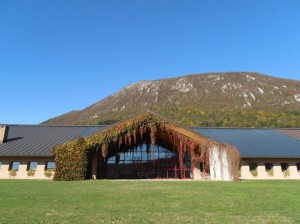 Azienda Agricola Giovanni Dri Il Roncat