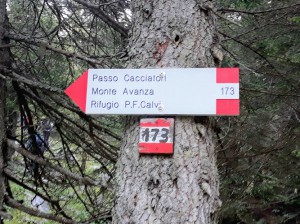 Malga Casera Vecchia / Olte kose