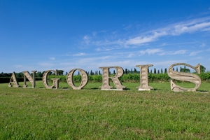 Tenuta di Angoris   Società Agricola