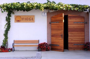 Fiegl