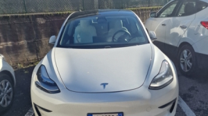 tesla Model 3 del 2020