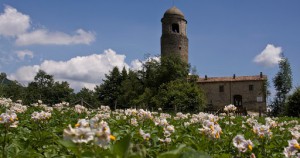 Agriturismo Montagna Verde