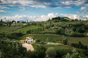 Agriturismo Podere Petraia