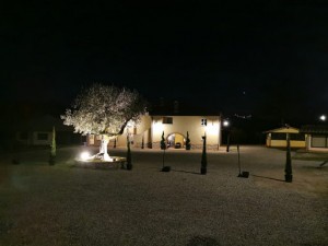 Podere Il Riccio Osteria