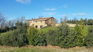 Agriturismo Il Selvatico