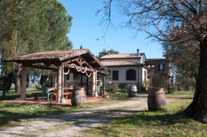 Poggio La Buca - Agriturismo