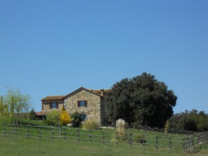 Agriturismo Viamaggio