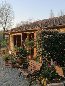 Agriturismo Stazione Di Monta Di Salotti Sandro