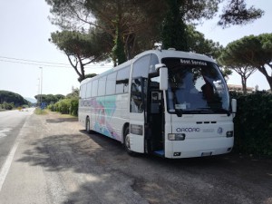 ARCARO DAVIDE AUTOBUS