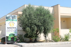 Settembre Azienda Agricola