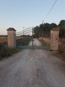 Azienda agricola 