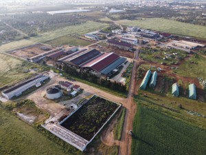 Azienda Agricola Pezzaviva