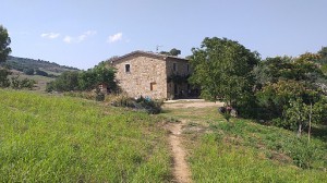 Agriturismo Aia Della Foresta