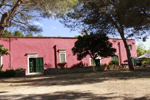 B&B Tenuta Santa Rosa