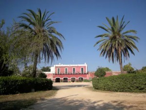 Tenuta ARGIANO