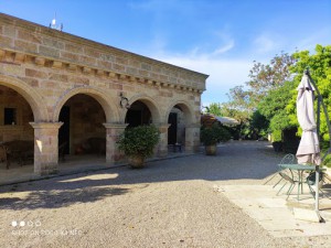 tenuta il Grifo