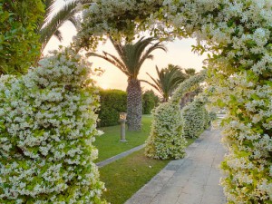 Tenuta la Corte