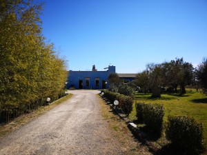 Tenuta Pellegrino Di Polimeno Marialuce