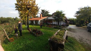 La Fattoria Barbini B&B Azienda Agricola Biologica