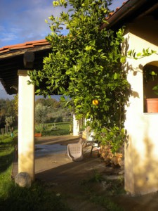 B&B Le Tre Querce - Country House