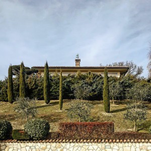 B&B Country House l'Ulivo Antico