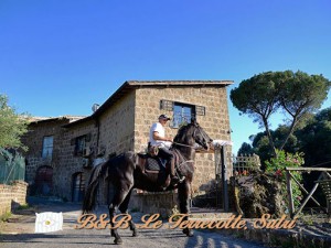 B&B Le Terrecotte Sutri