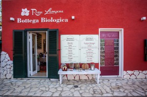 AGRITURISMO ROSSO LAMPONE