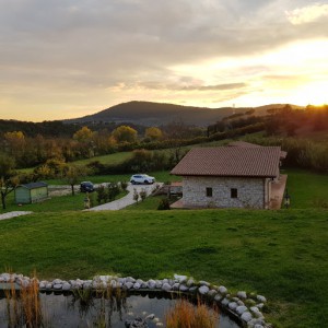 Tenuta I Tufari