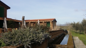 Il Giardino nell'Orto