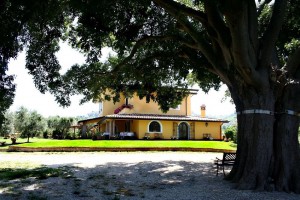 Azienda Agricola Il Bagolaro