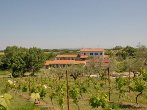 Arcipelago di Arte et Agricoltura