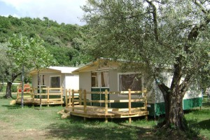 Blu International Camping