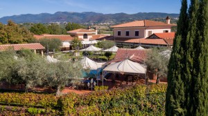 Ristorante Poggio degli Ulivi