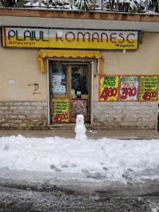 Plaiul Romanesc