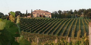 Tenuta Santa Lucia