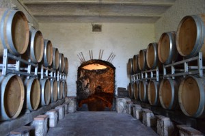 Antiche Cantine Mario Terenzi punto vendita