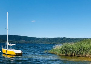 Lago Di Vico.fioro