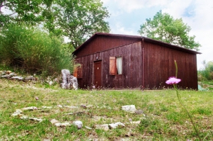 Agriturismo Pianeta Verde