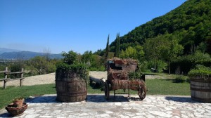 Agriturismo Le Fontanelle di Maria Di Maula